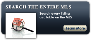 Search Button
