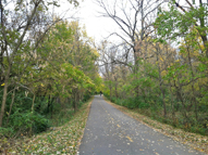 Worthington Trail